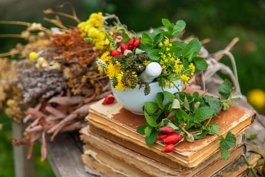 Medicinal herbs alternative medicine in nature. Selective focus. Flowers.