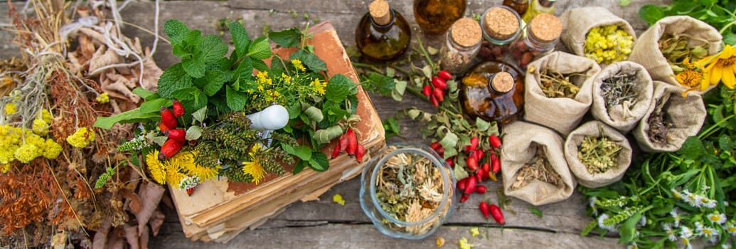 Medicinal herbs alternative medicine in nature. Selective focus. Flowers.