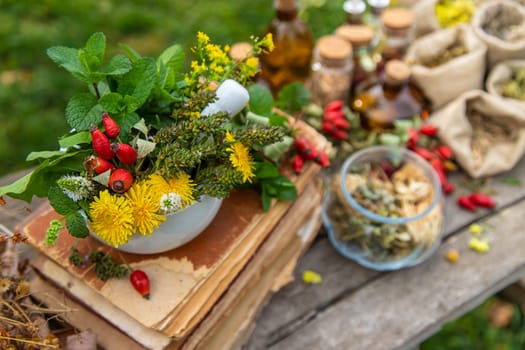 Medicinal herbs alternative medicine in nature. Selective focus. Flowers.