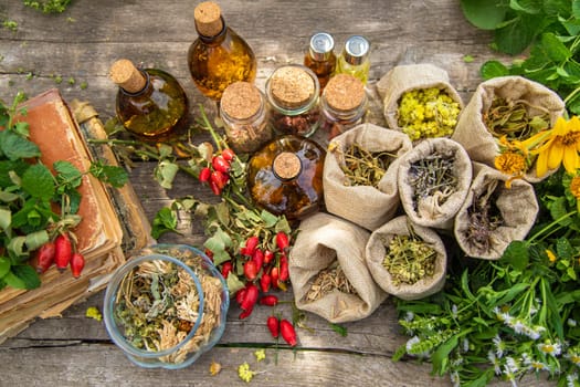 Medicinal herbs alternative medicine in nature. Selective focus. Flowers.