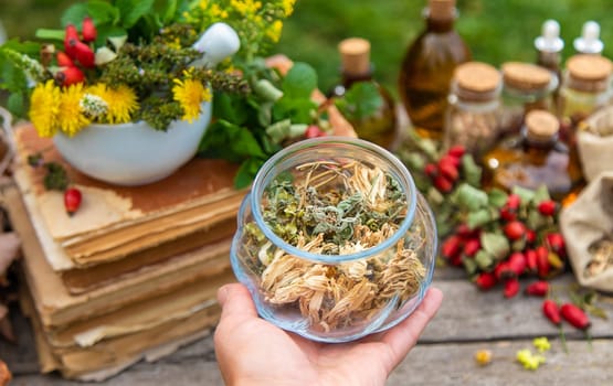 Medicinal herbs alternative medicine in nature. Selective focus. Flowers.
