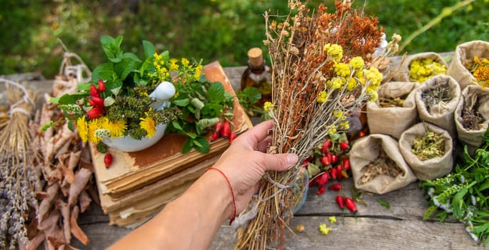 Medicinal herbs alternative medicine in nature. Selective focus. Flowers.