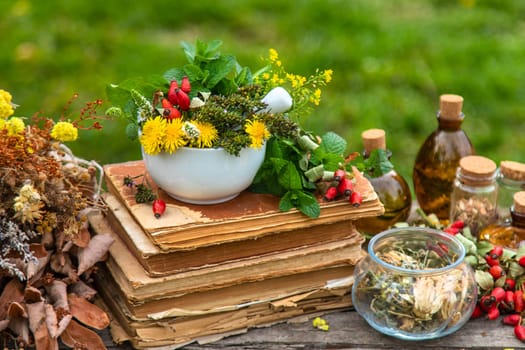 Medicinal herbs alternative medicine in nature. Selective focus. Flowers.