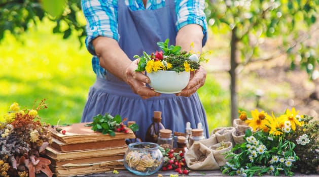 Medicinal herbs alternative medicine old woman. Selective focus. Nature.