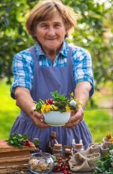 Medicinal herbs alternative medicine old woman. Selective focus. Nature.