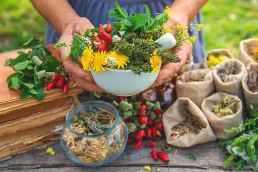 Medicinal herbs alternative medicine old woman. Selective focus. Nature.
