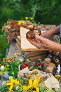 Medicinal herbs alternative medicine old woman. Selective focus. Nature.