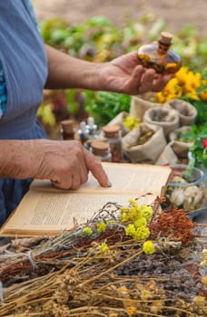 Medicinal herbs alternative medicine old woman. Selective focus. Nature.