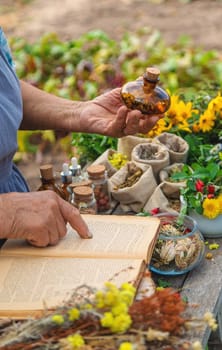 Medicinal herbs alternative medicine old woman. Selective focus. Nature.