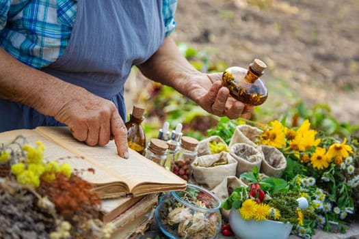 Medicinal herbs alternative medicine old woman. Selective focus. Nature.