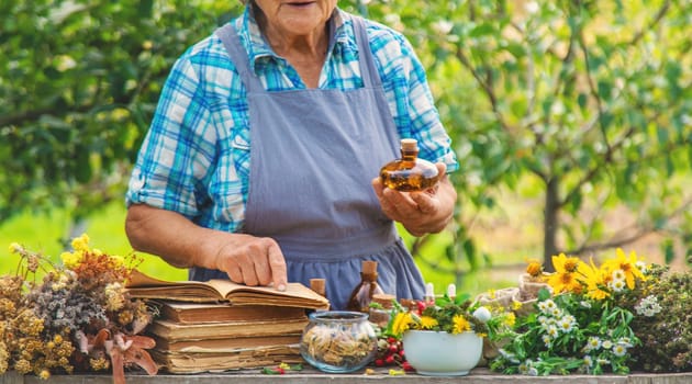 Medicinal herbs alternative medicine old woman. Selective focus. Nature.