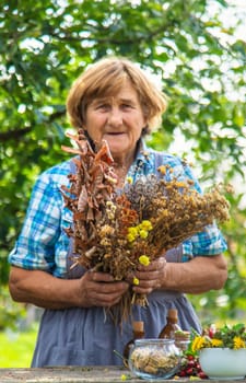 Medicinal herbs alternative medicine old woman. Selective focus. Nature.