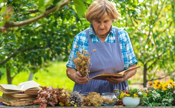 Medicinal herbs alternative medicine old woman. Selective focus. Nature.