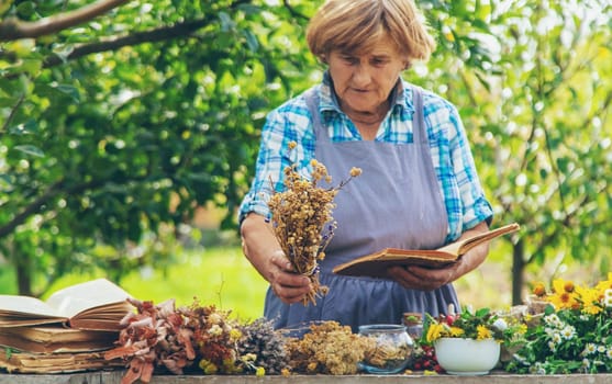 Medicinal herbs alternative medicine old woman. Selective focus. Nature.