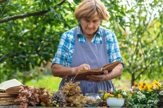 Medicinal herbs alternative medicine old woman. Selective focus. Nature.