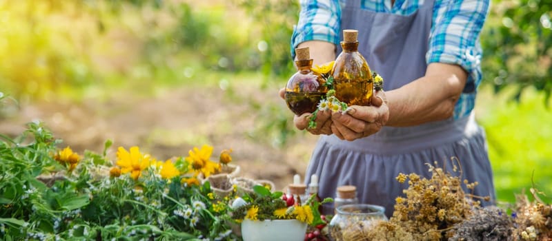 Medicinal herbs alternative medicine old woman. Selective focus. Nature.