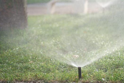 A lawn sprinkler efficiently sprays water over vibrant green grass, showcasing effective irrigation techniques