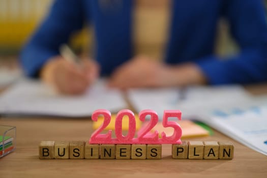 A wellfocused business plan for 2025 that emphasizes creativity and strategic approaches to future growth