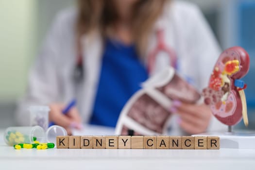 A healthcare professional examines kidney cancer treatment options and educational materials carefully