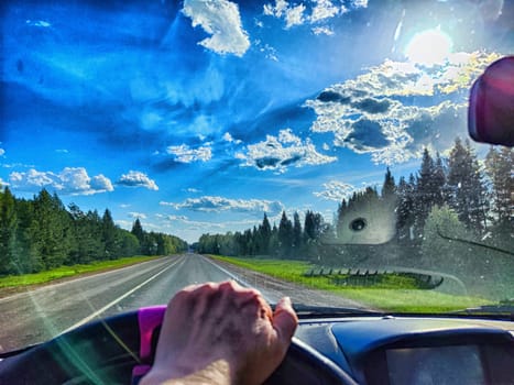 Car salon, windshield, hand of woman on steering wheel and landscape. View from seat of driver on nature with Road, tree and blue sky at sunny day