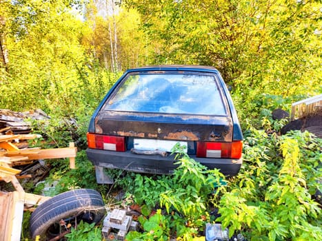 A neglected vehicle is partially hidden by dense vegetation and trees, revealing signs of rust and decay in a remote location.