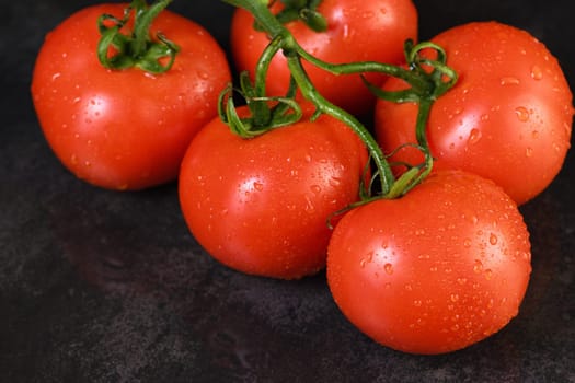 Fresh ripe red tomato branch with water drops on a dark background . Close-up. Horizontal photo. Poster for vegetable market or shop.