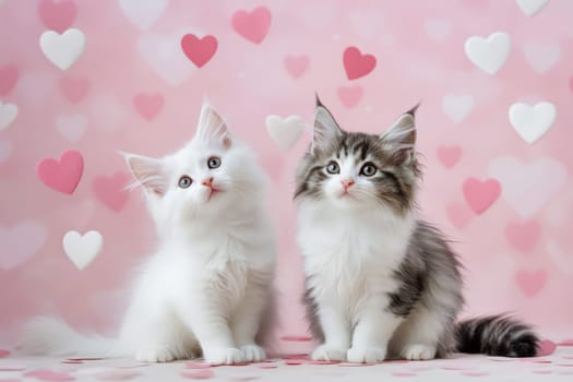 Two white kittens and red hearts flying around