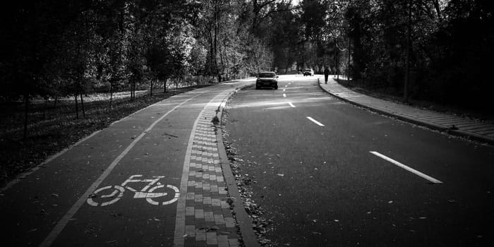 urban autumn landscape in black and white. High quality photo