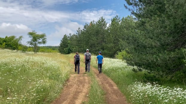A scenic view of three hikers trekking through a lush green forest trail bordered by blooming wildflowers under a partly cloudy sky - Bulgaria, Europe.