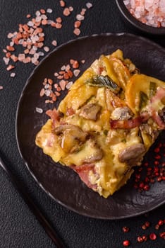Shepherd's pie with potatoes, meat, vegetables, salt, spices and herbs on dark concrete background
