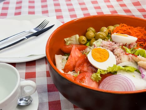 Fresh vegetable salad with boiled egg and olives on checkered tablecloth.