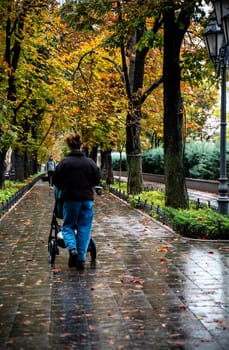 a girl with a baby carriage walks in the park. view from the back. the girl is wearing a jacket and blue jeans. the park after the rain. chestnuts and cypresses grow in the park. yellow chestnut leaves in the park in autumn