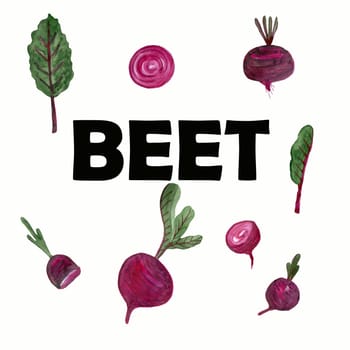 Beetroot set beets with leaves and cut pieces. Watercolor illustration hand drawn and isolated on a white background. Elements for packaging design