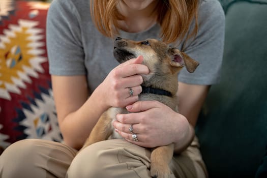 A woman gently cradles her cherished dog, which showcases a deeply heartfelt moment of affection and companionship