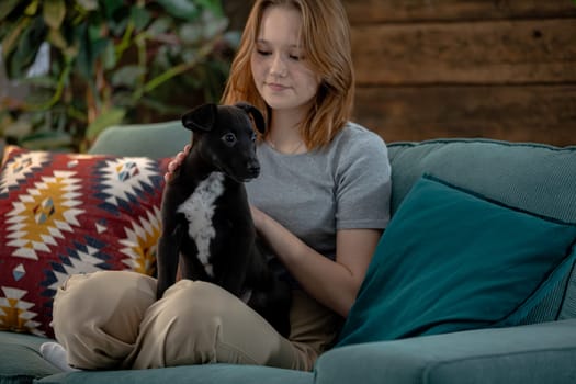 A person is peacefully relaxing on a couch alongside a black dog, creating a wonderfully warm and intimate atmosphere