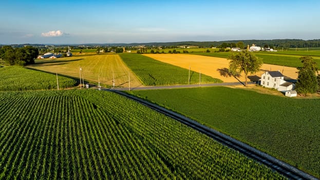 Lush green and golden fields stretch across the landscape under a clear blue sky. A quaint farmhouse sits beside the road, showcasing rural beauty at sunset.