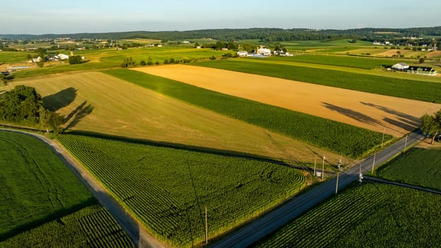 Expansive farm fields stretch across the landscape, featuring green and golden crops under a clear sky. A rural road winds through the verdant terrain, enhancing the scenic beauty.