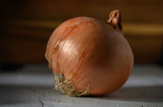 A beautifully curved onion displays its earthy tones, hinting at a flavorful ingredient just picked from the garden.