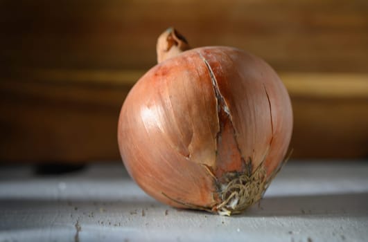 A close-up of a cracked onion reveals its textured skin and roots, showcasing the beauty in natural imperfections.