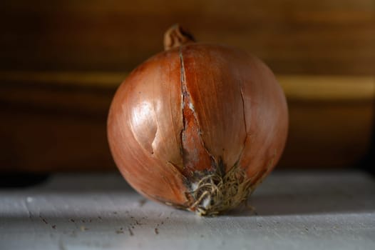A ripe onion with a cracked skin sits on a textured surface, showcasing its earthy tones in a cozy kitchen setting.