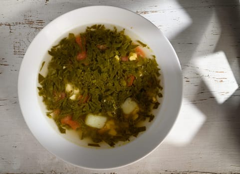 Vibrant green soup filled with fresh vegetables sits in a white bowl, casting gentle shadows on a rustic surface.
