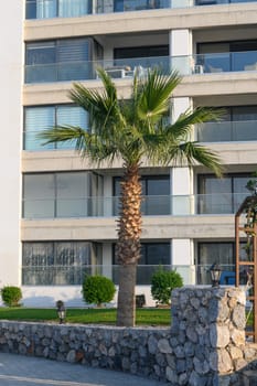 A majestic palm tree thrives next to a sleek contemporary structure on a bright day, showcasing urban beauty.