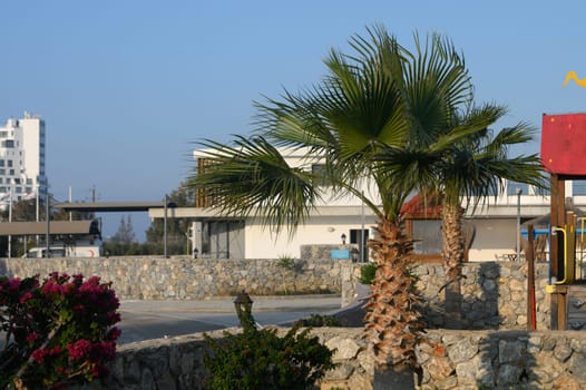 Lush palm trees sway gently as vibrant flowers bloom near charming buildings, creating a tranquil summer ambiance.