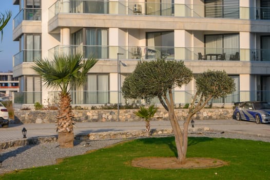 Olive and palm trees stand beautifully in a manicured lawn outside a modern coastal building at sunset.