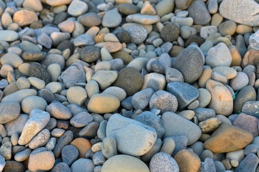 A variety of smooth pebbles lay together on a riverbank, showcasing a mix of colors and sizes under the warm sun.