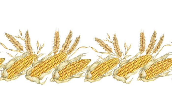 Corn seamless border clipart features detailed watercolor illustrations of golden corn cobs and wheat, for adding a touch of rustic charm to design projects, packaging, invitations, or seasonal decor