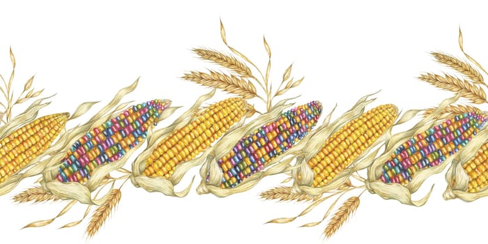 Corn seamless border clipart illustrates colorful watercolor corn cobs with detailed kernels, adding a festive touch to your design projects. Great for use in packaging, flyers, and kitchen decor