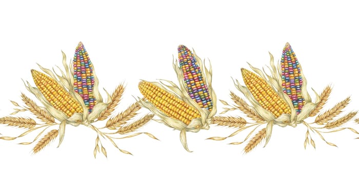 Corn seamless border clipart features watercolor corn cobs in multiple colors, perfect for adding a touch of nature to your designs. Ideal for use in brochures, banners, and fabric prints