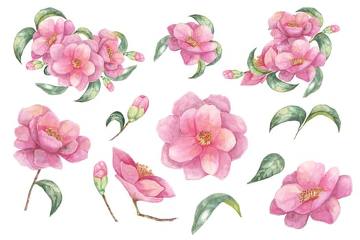 Camellia japonica set in watercolor. Compositions of pink fully blossomed flowers with leaves. Cliparts for cosmetics packaging, textile design, wedding invitations, wall decals, greeting cards,