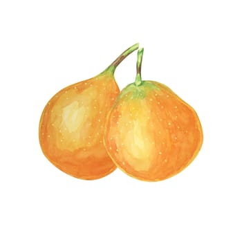 Sweet granadilla watercolor with two vibrant orange fruits. Ideal for use in digital designs, invitations and food-related merchandise, this clipart shows detailed green leaves and realistic textures